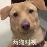 豆友29