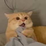 豆友mooa8qQauA