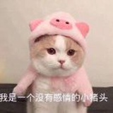 莫名其妙的女孩