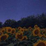 豆友x6UhQ_qlC8