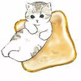 豆友1dj0XWbjPc