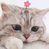 豆友5hq6MO07Tc