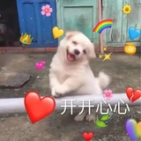 终点儿