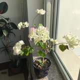 观众朋友