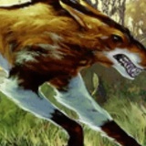 WildMongrel