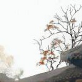豆友lMg8p4S2qg