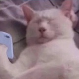啊这啊这