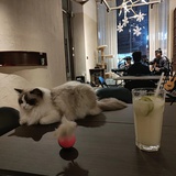 崽子，爱你呀
