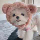 团团妈妈👩🏻