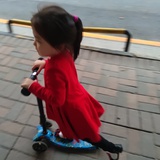 有令东来