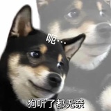 范范