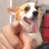 豆友_HxgAPPvVw