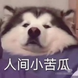 是谭谭耶✌