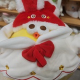 廿三岁七