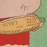 不要学会计