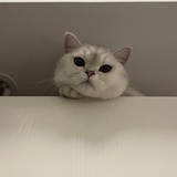 aaaaaaaa