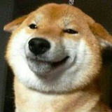 豆友5647738213