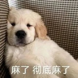 咖喱