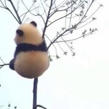 豆友2651973123