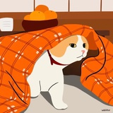 胖胖哦