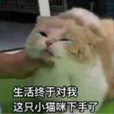等有饼吃再说吧