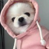豆友6o8puHvyzs