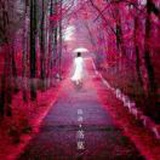 豆友vu3PLbDJMA
