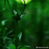 喜欢你没道理