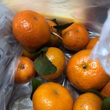 我去給你買橘子