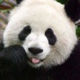 豆友MB9aLRf4MI