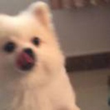 uuuuu