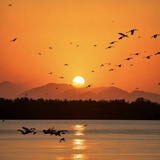 落霞与孤雁齐飞