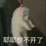 扒拉爪子