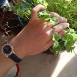洪利爱阅读