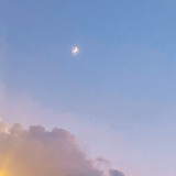 黒