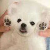 平芜