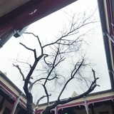 寻找一方天空