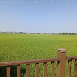 豆友OgjCeTSc5U