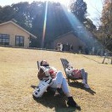 悬浮物漂到海外