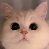 美丽公主