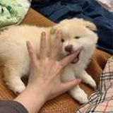 豆友5nPccMeD58