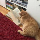 猫猫虫在看书