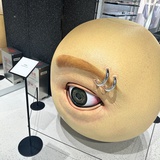 娃娃菜精