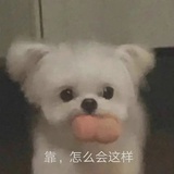 十二夜