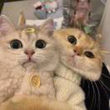 只你
