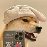 愿与你不负光年