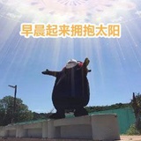 。。。。