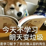 3030