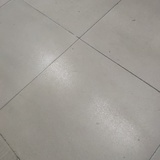 秋白