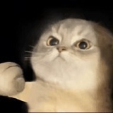 别抢我狗__